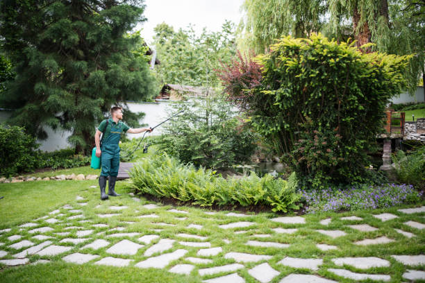 Best Wasp Removal Services  in Scott City, KS