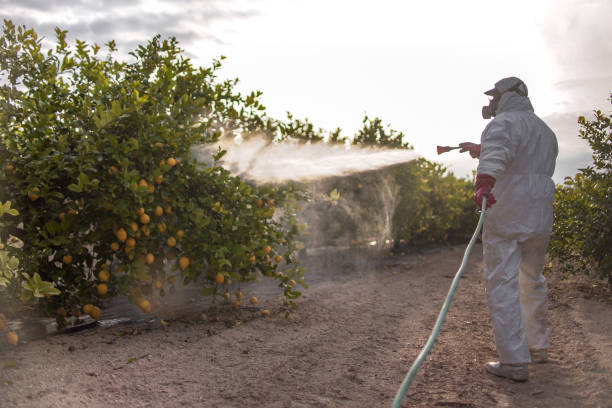 Trusted Scott City, KS Pest Control Experts
