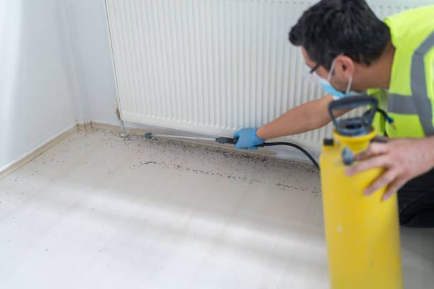 Best Mosquito Control Services  in Scott City, KS