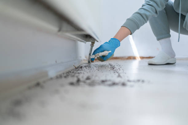 Best Exterminator Services  in Scott City, KS