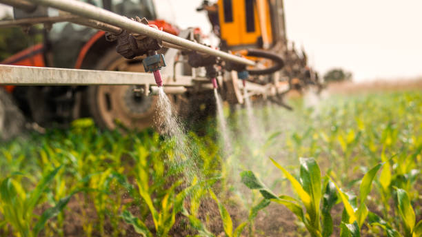 Best Local Pest Control Services  in Scott City, KS